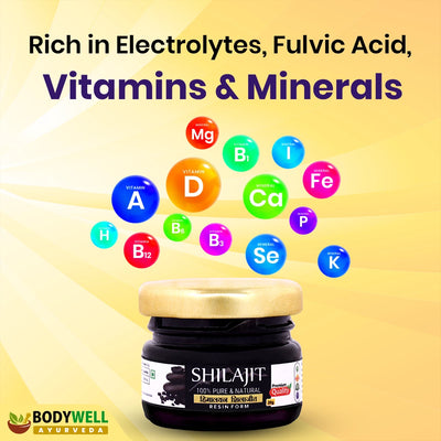 Vitamins and Minerals in Shilajit Resin